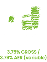 First Adult Text Rev-2