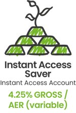 Instant Access Text Pos-Nov-21-2023-03-09-21-7575-PM